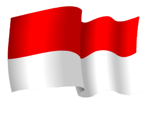 Top Rated IPTV Provider in Indonesia